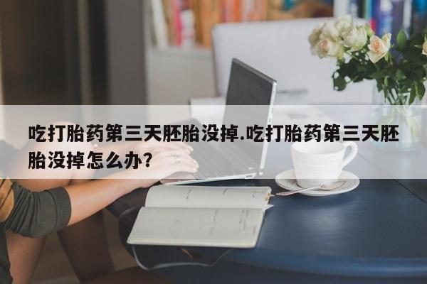 米非米索使用吃打胎药第三天胚胎没掉.吃打胎药第三天胚胎没掉怎么办？