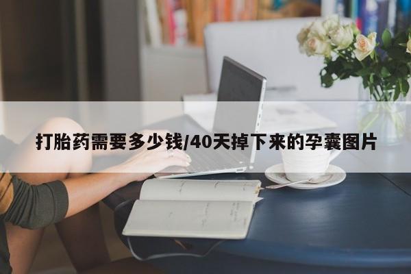 米非米索使用打胎药需要多少钱/40天掉下来的孕囊图片